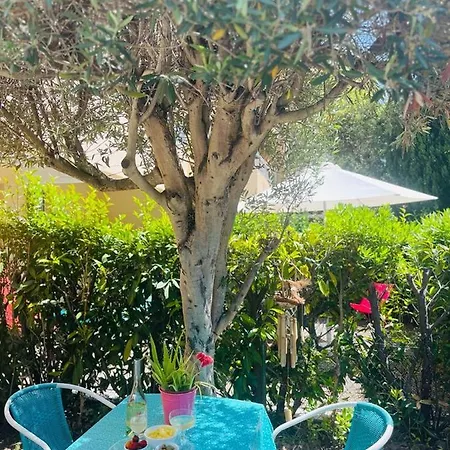 Rdj Avec Piscine Le Lavandor Appartamento Le Lavandou